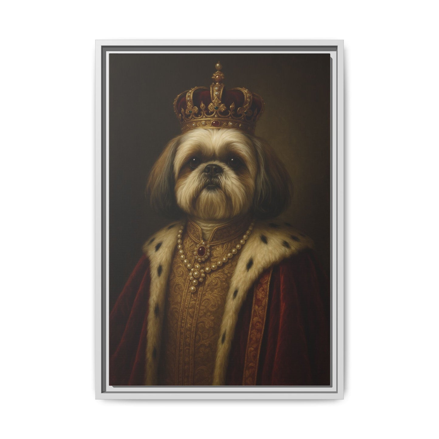 Royal Shihtzu