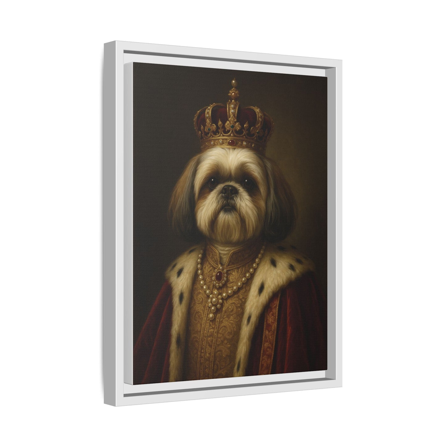 Royal Shihtzu
