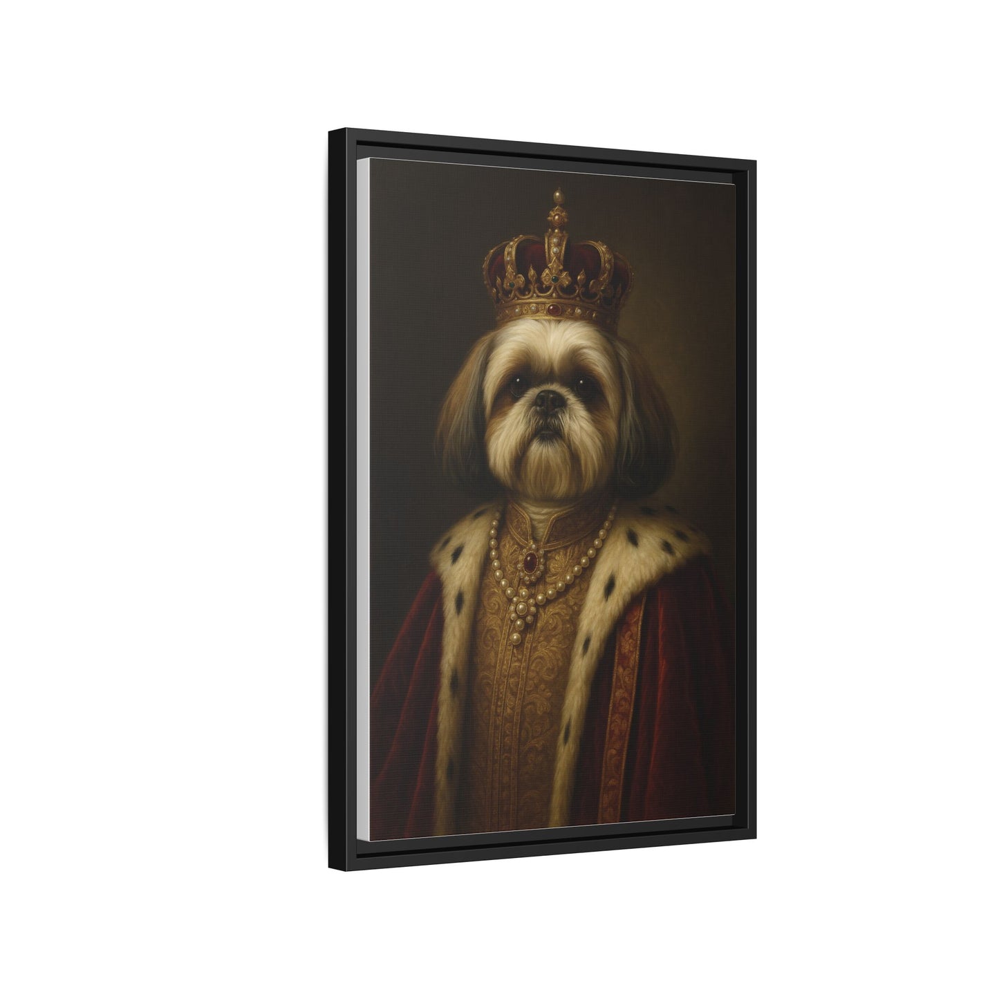 Royal Shihtzu