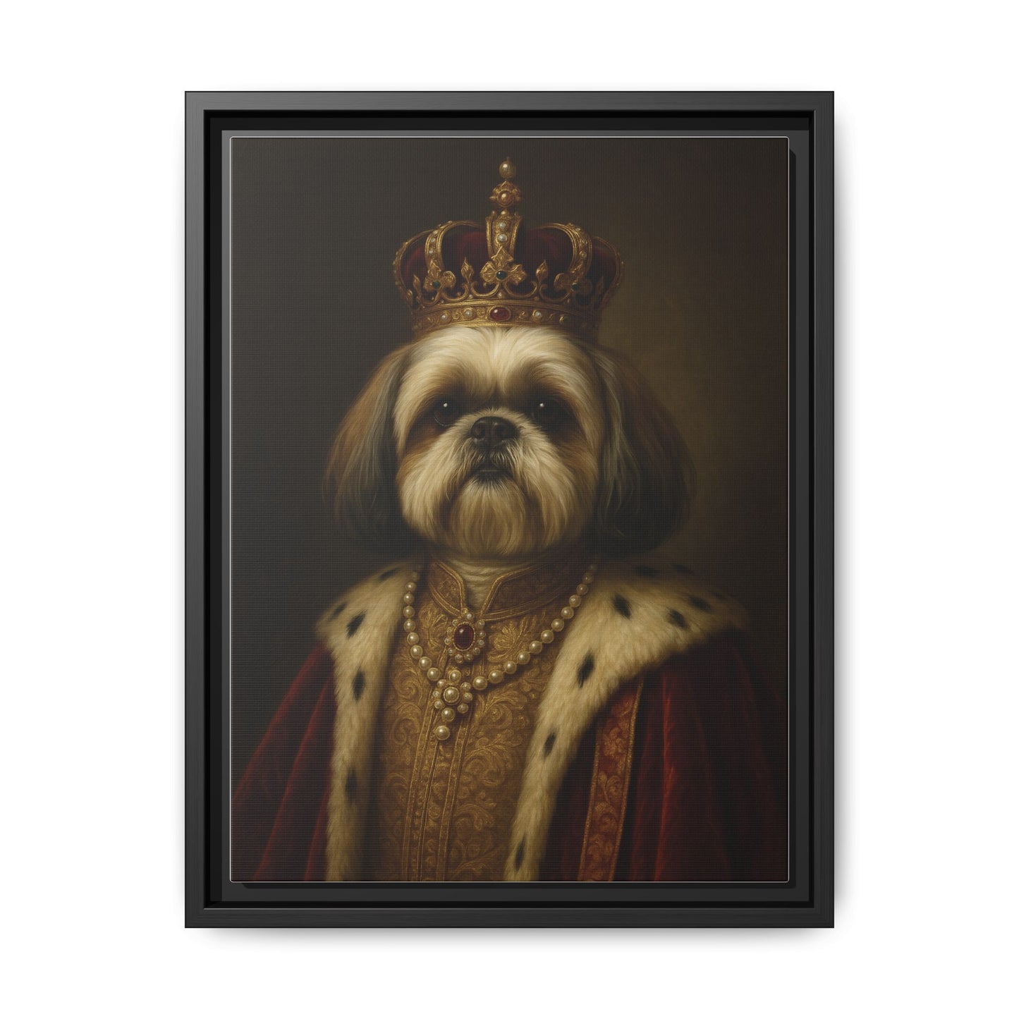 Royal Shihtzu
