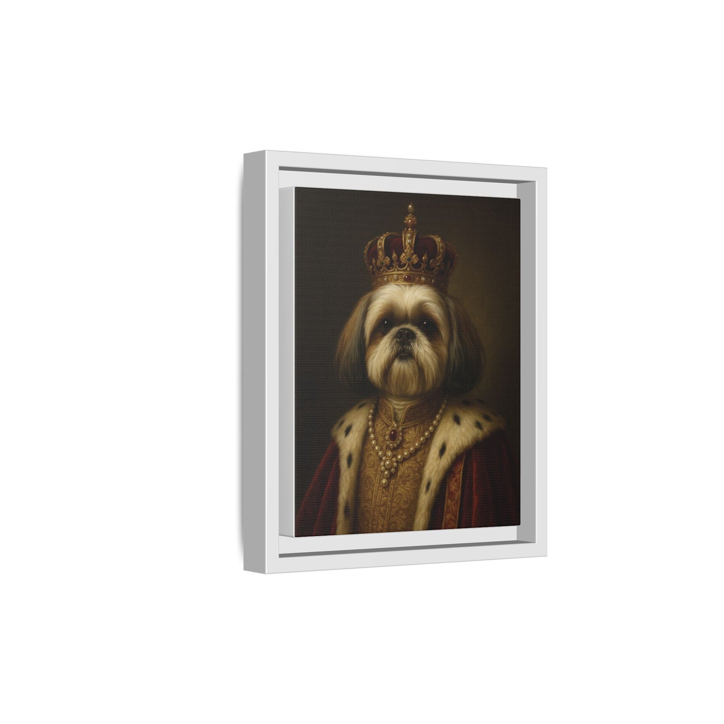 Royal Shihtzu
