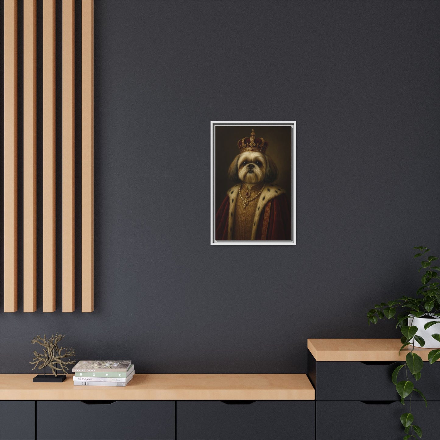 Royal Shihtzu