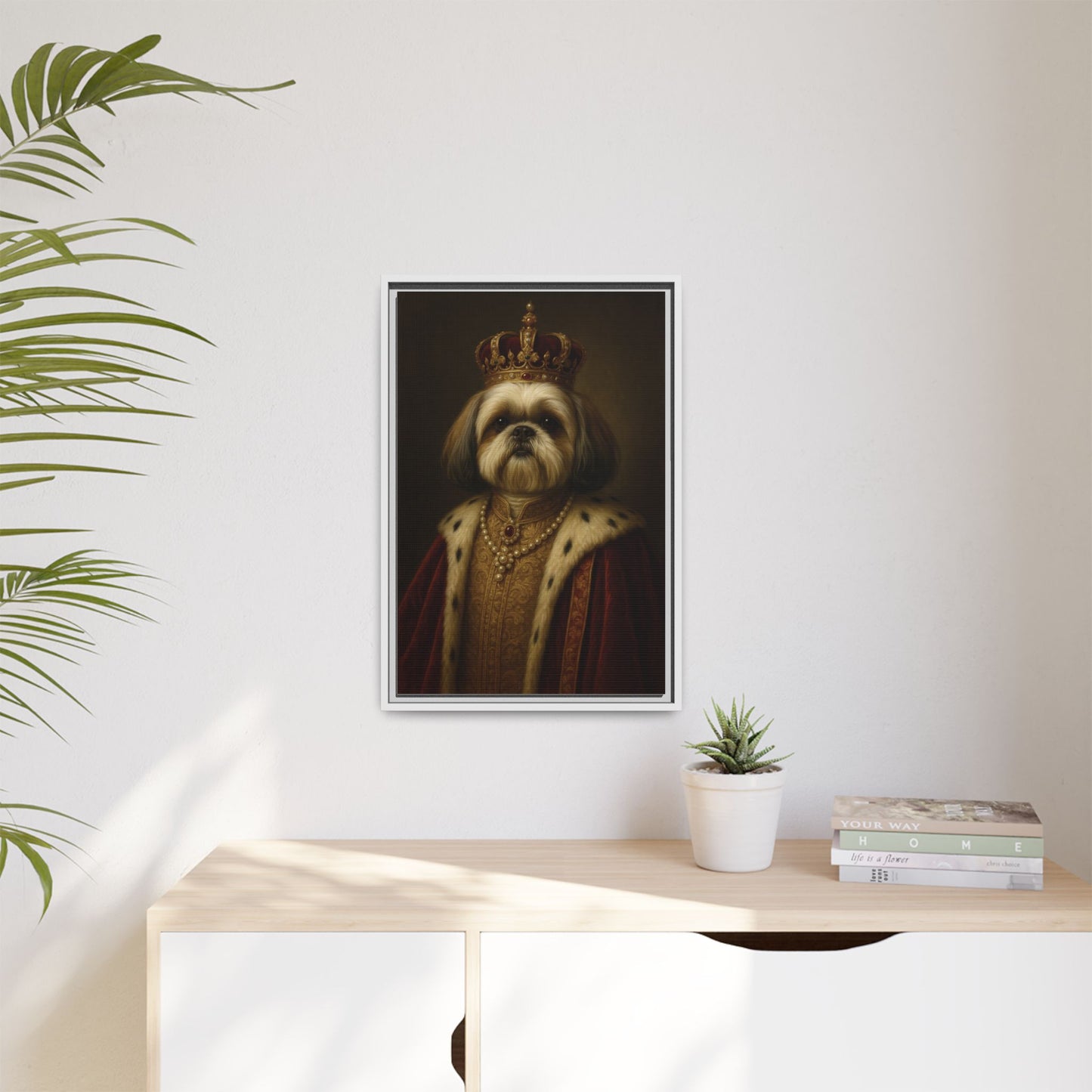 Royal Shihtzu