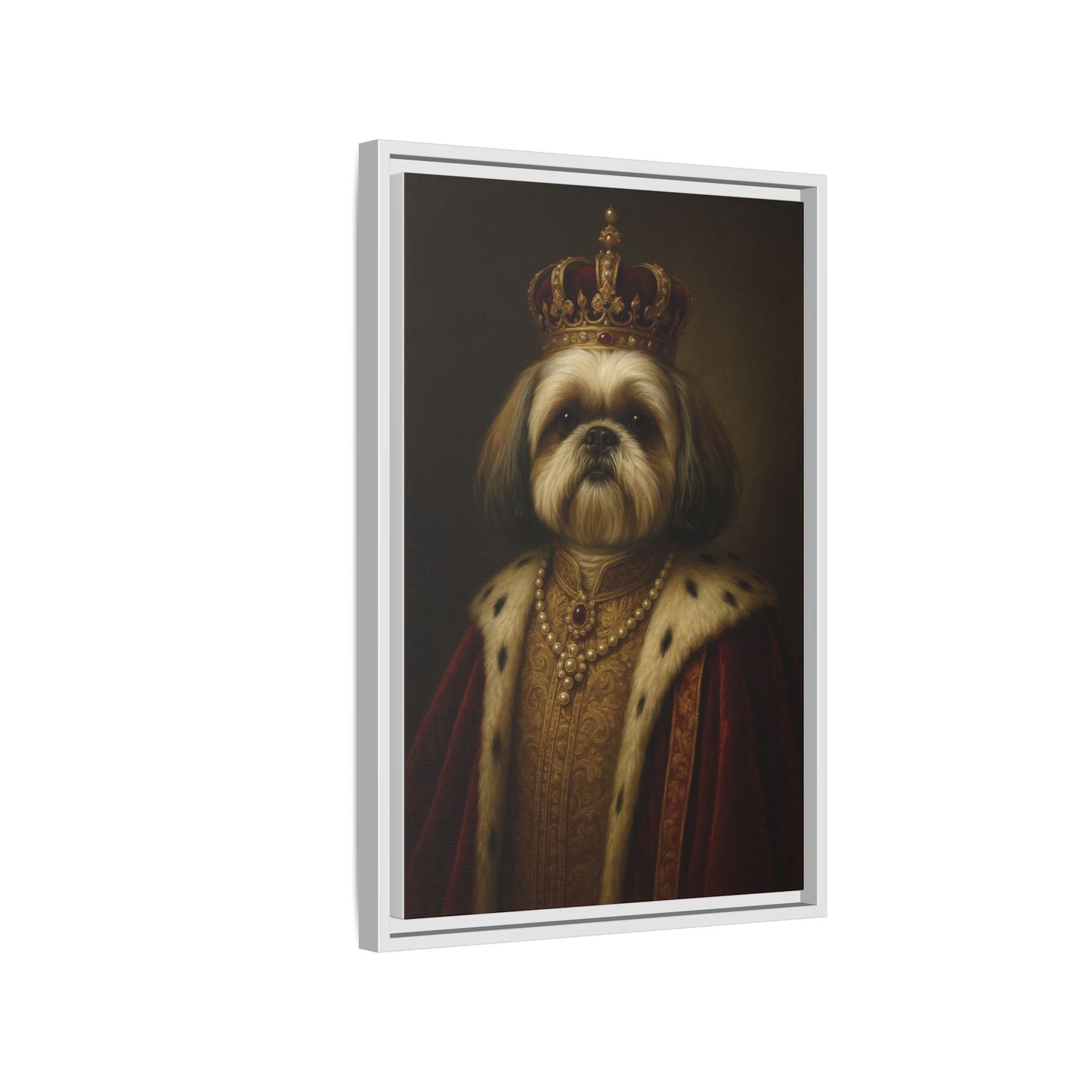 Royal Shihtzu