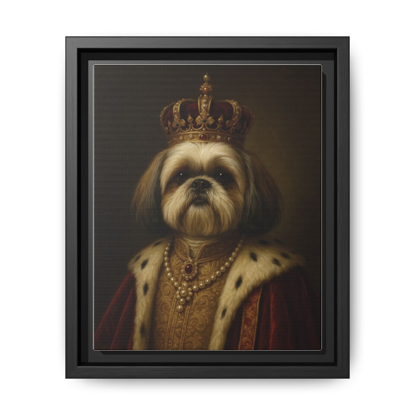 Royal Shihtzu