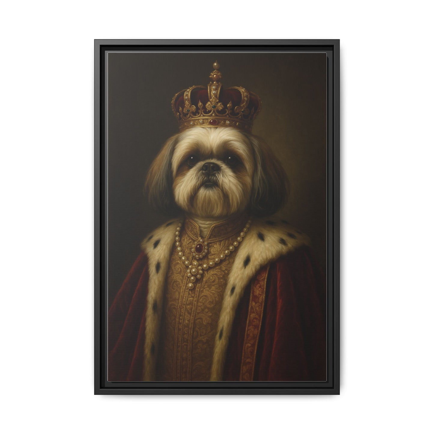 Royal Shihtzu