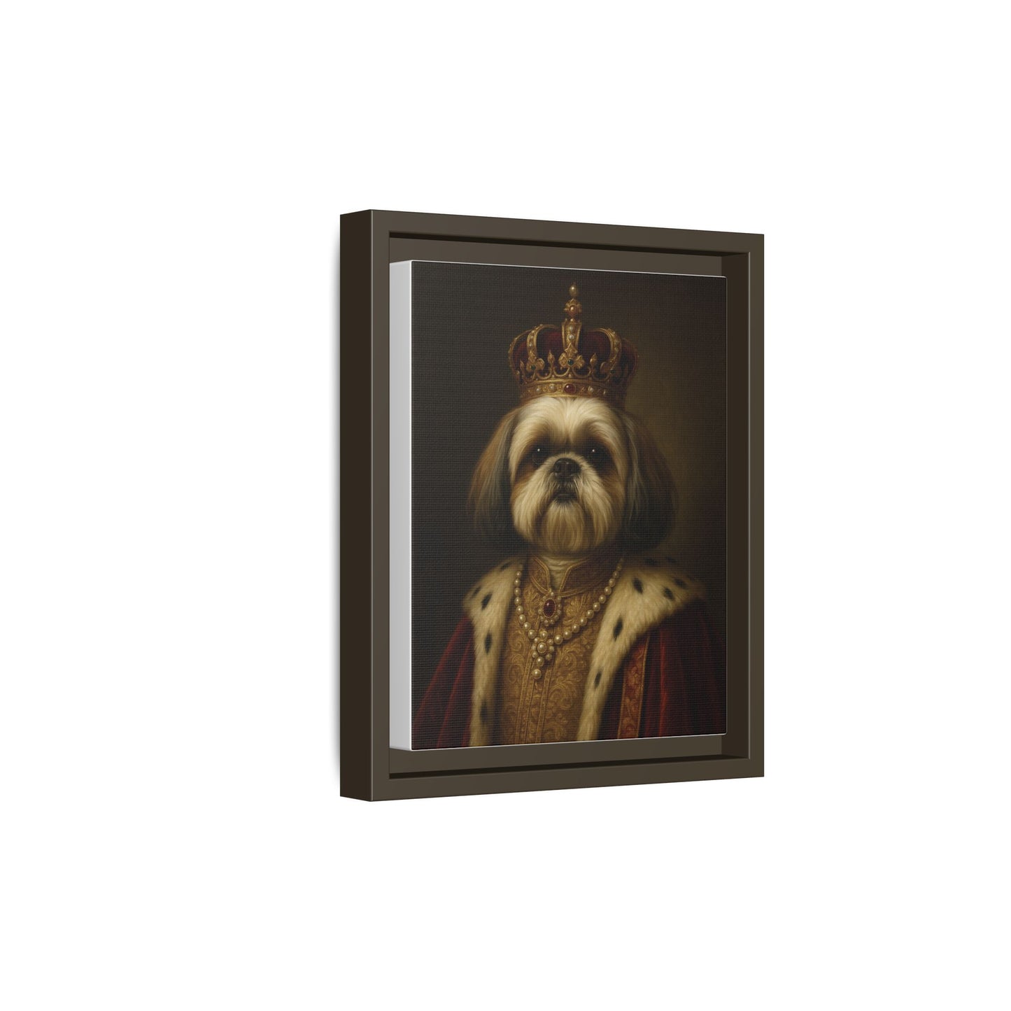 Royal Shihtzu