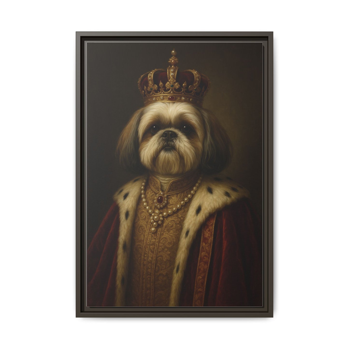 Royal Shihtzu