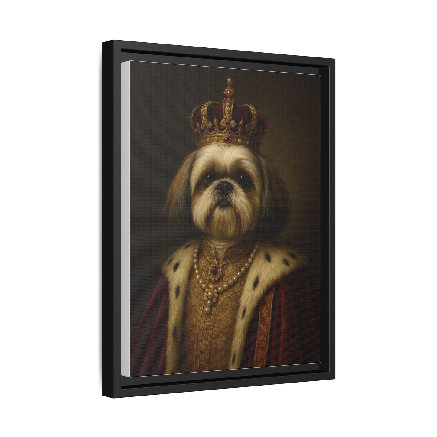 Royal Shihtzu