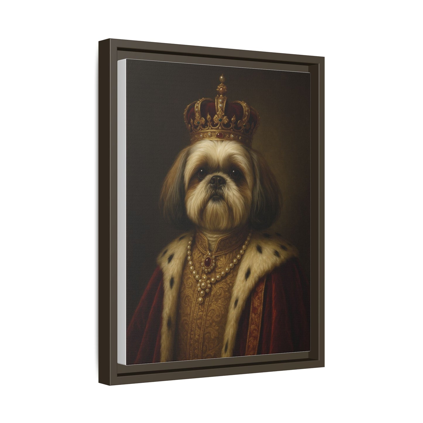 Royal Shihtzu
