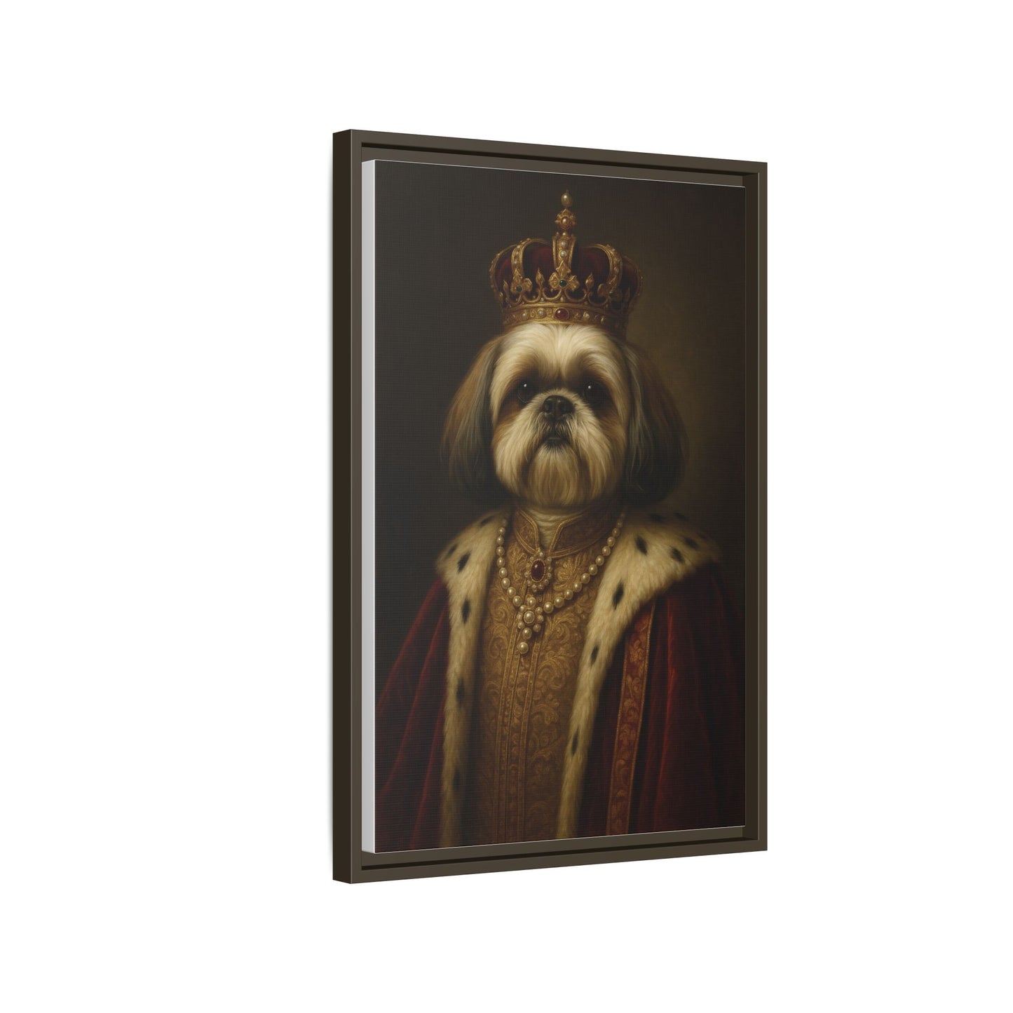 Royal Shihtzu