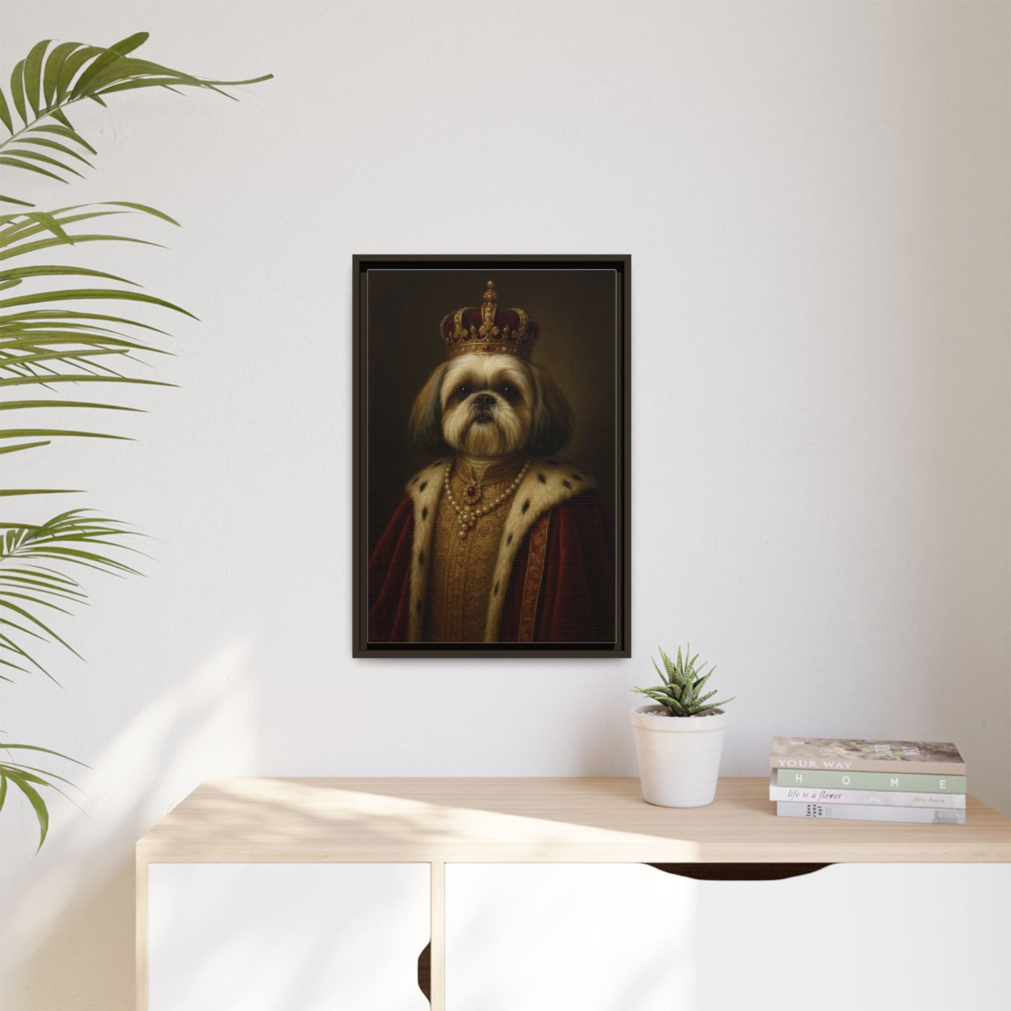 Royal Shihtzu