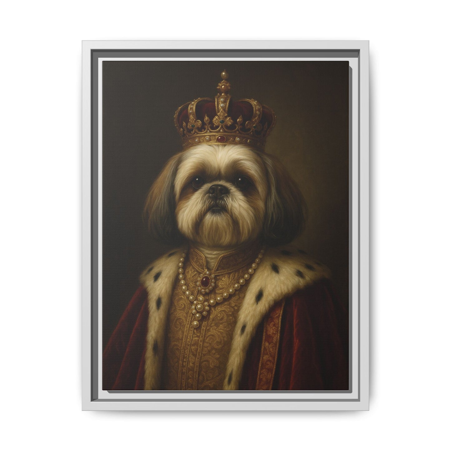 Royal Shihtzu