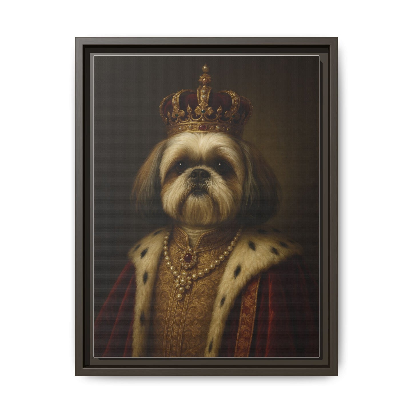 Royal Shihtzu