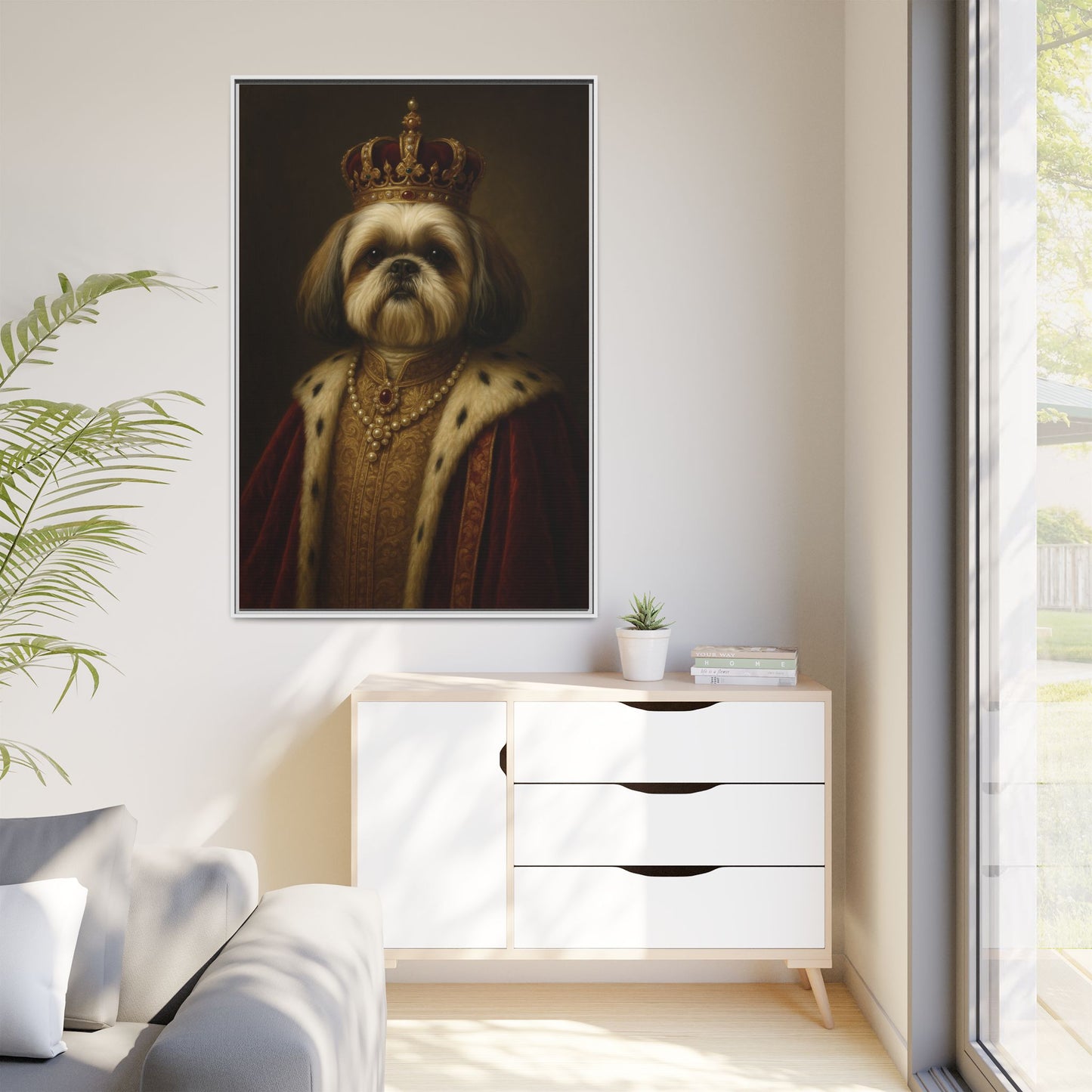Royal Shihtzu