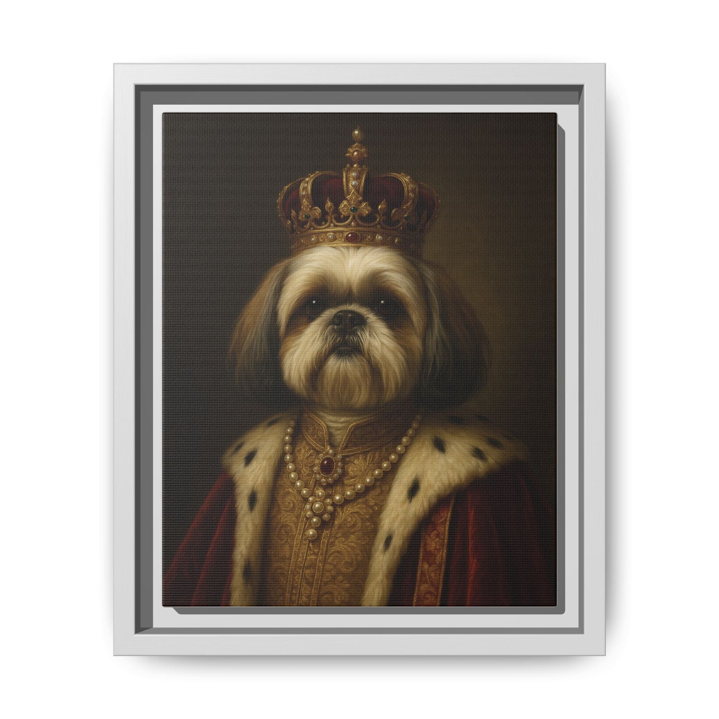 Royal Shihtzu
