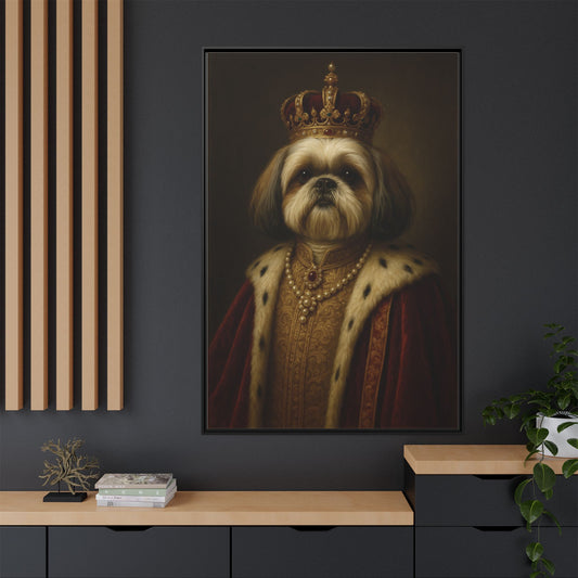 Royal Shihtzu